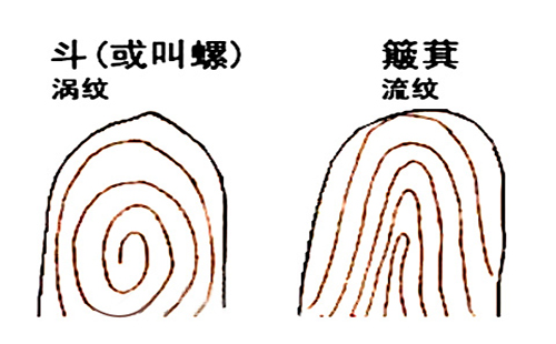 斗和簸箕