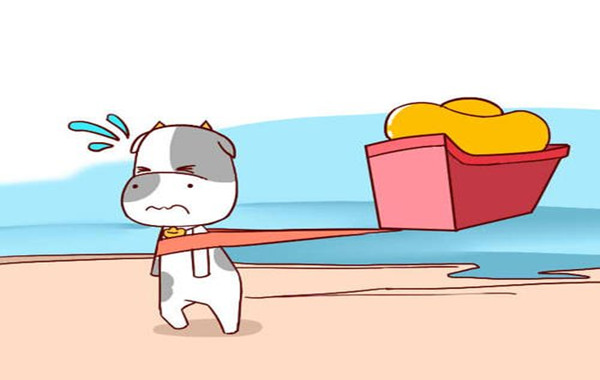 如何看八字行运